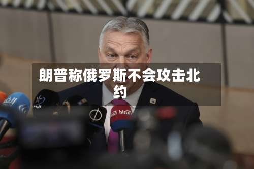 朗普称俄罗斯不会攻击北约