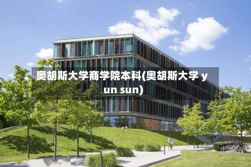 奥胡斯大学商学院本科(奥胡斯大学 yun sun)