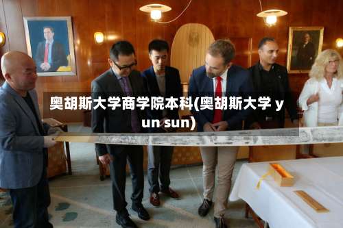 奥胡斯大学商学院本科(奥胡斯大学 yun sun)-第2张图片