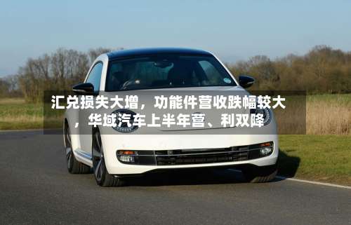 汇兑损失大增，功能件营收跌幅较大，华域汽车上半年营、利双降-第2张图片