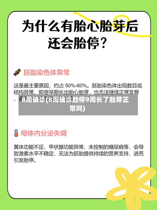 8周确诊(8周确诊胎停9周长了胎芽正常吗)