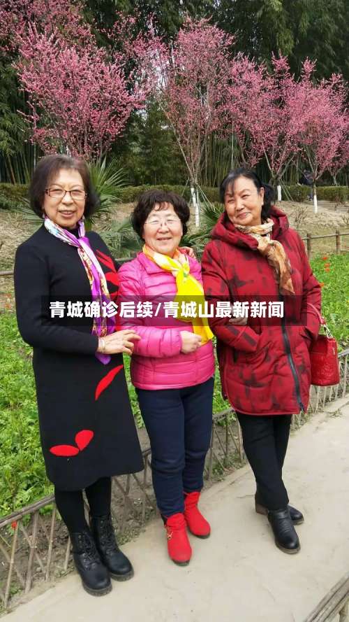 青城确诊后续/青城山最新新闻-第2张图片