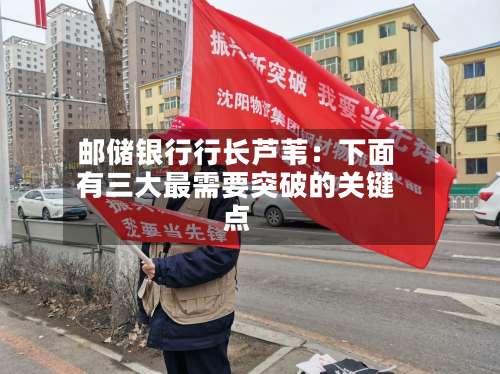 邮储银行行长芦苇：下面有三大最需要突破的关键点