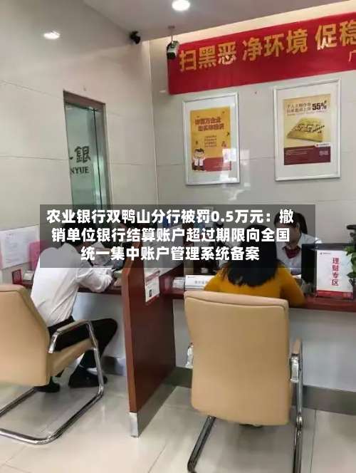 农业银行双鸭山分行被罚0.5万元：撤销单位银行结算账户超过期限向全国统一集中账户管理系统备案