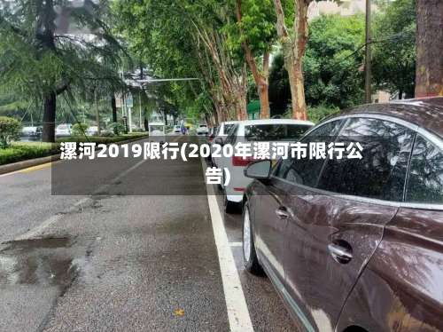 漯河2019限行(2020年漯河市限行公告)-第2张图片