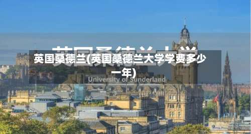 英国桑德兰(英国桑德兰大学学费多少一年)-第2张图片