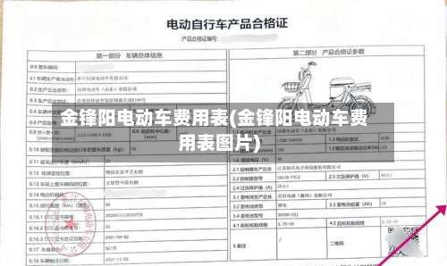 金锋阳电动车费用表(金锋阳电动车费用表图片)-第2张图片