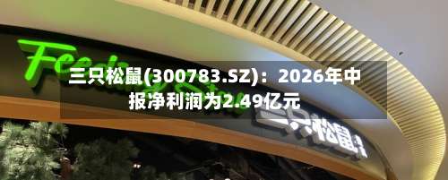 三只松鼠(300783.SZ)：2026年中报净利润为2.49亿元-第3张图片
