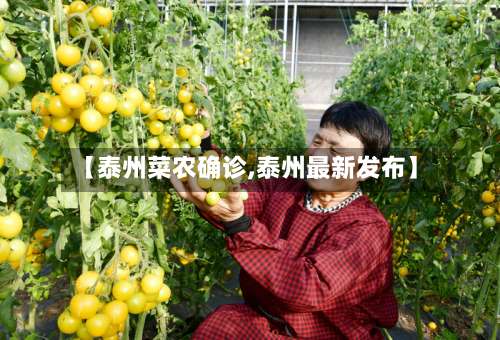 【泰州菜农确诊,泰州最新发布】
