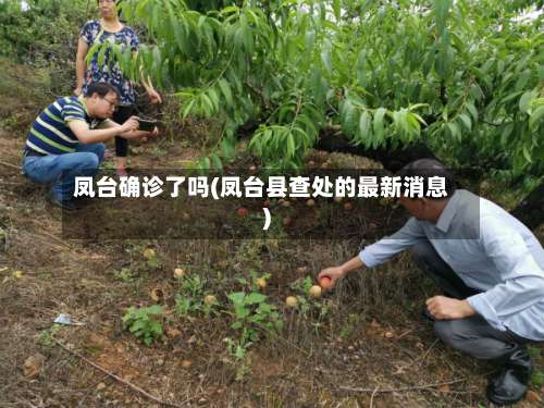 凤台确诊了吗(凤台县查处的最新消息)-第3张图片