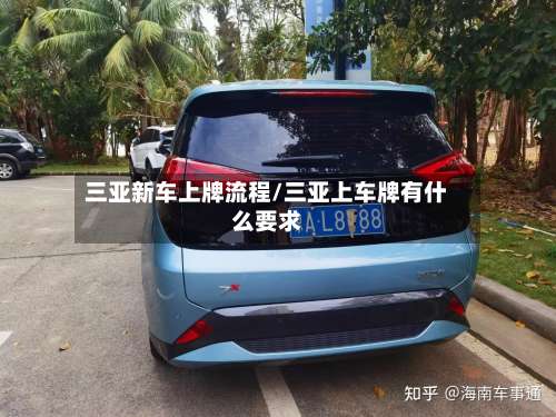 三亚新车上牌流程/三亚上车牌有什么要求-第2张图片