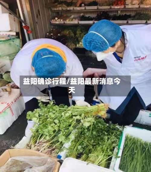 益阳确诊行程/益阳最新消息今天