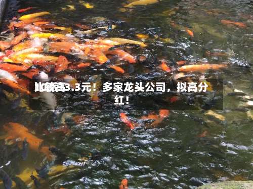 比较高10派13.3元！多家龙头公司，拟高分红！