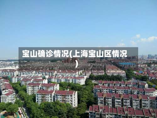 宝山确诊情况(上海宝山区情况)-第2张图片