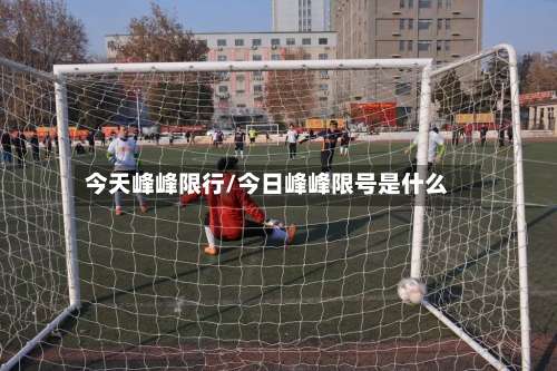 今天峰峰限行/今日峰峰限号是什么-第3张图片