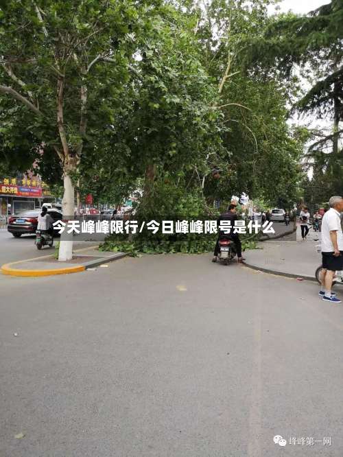 今天峰峰限行/今日峰峰限号是什么-第2张图片