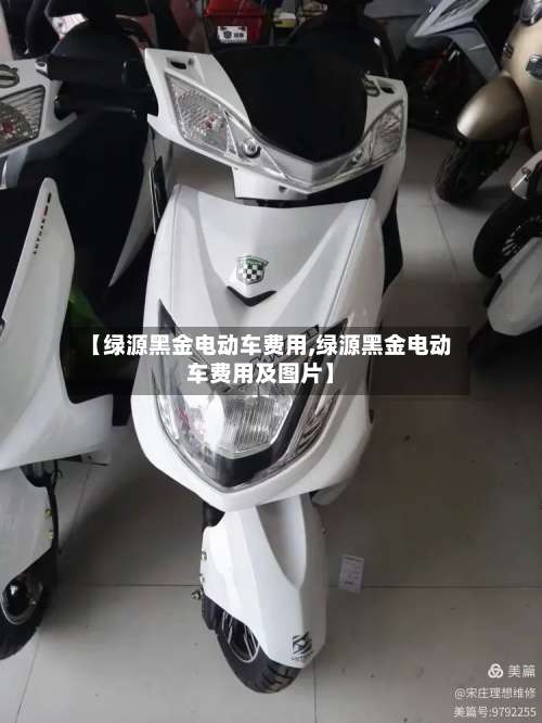 【绿源黑金电动车费用,绿源黑金电动车费用及图片】