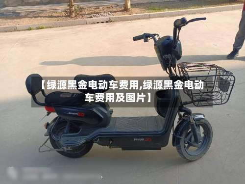 【绿源黑金电动车费用,绿源黑金电动车费用及图片】-第2张图片