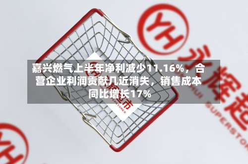 嘉兴燃气上半年净利减少11.16%，合营企业利润贡献几近消失	，销售成本同比增长17%-第2张图片