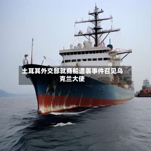土耳其外交部就商船遭袭事件召见乌克兰大使-第2张图片