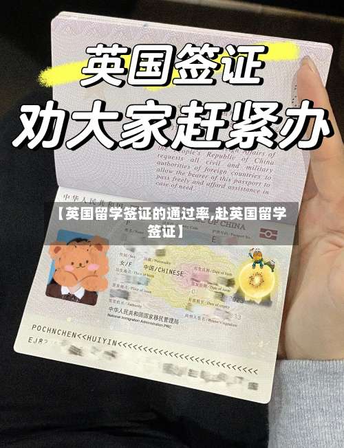 【英国留学签证的通过率,赴英国留学签证】-第3张图片