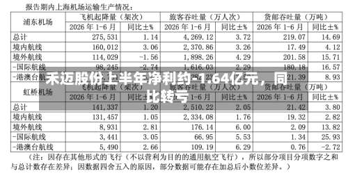 禾迈股份上半年净利约-1.64亿元，同比转亏-第2张图片