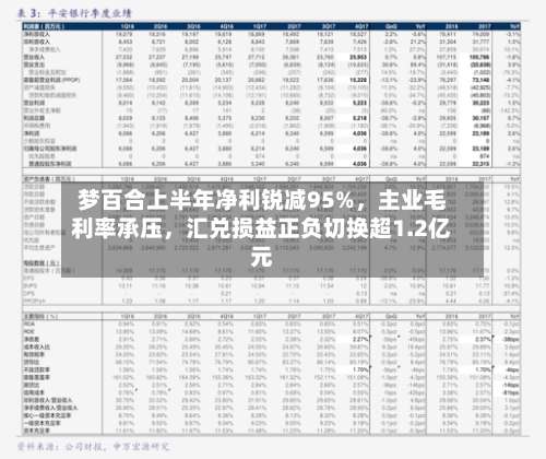 梦百合上半年净利锐减95%，主业毛利率承压	，汇兑损益正负切换超1.2亿元-第2张图片