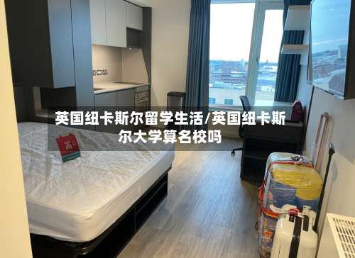 英国纽卡斯尔留学生活/英国纽卡斯尔大学算名校吗-第3张图片