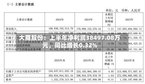 大商股份：上半年净利润38497.08万元，同比增长0.32%-第2张图片
