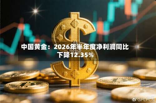 中国黄金：2026年半年度净利润同比下降12.35%