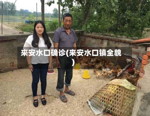 来安水口确诊(来安水口镇全貌)