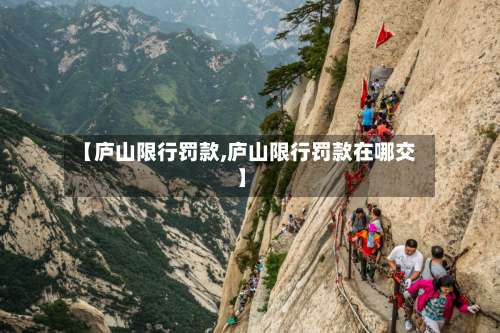 【庐山限行罚款,庐山限行罚款在哪交】-第3张图片