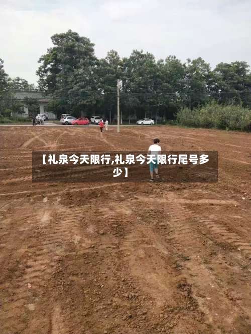 【礼泉今天限行,礼泉今天限行尾号多少】-第3张图片