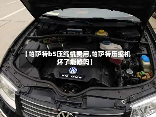 【帕萨特b5压缩机费用,帕萨特压缩机坏了能修吗】-第2张图片