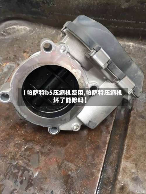 【帕萨特b5压缩机费用,帕萨特压缩机坏了能修吗】-第3张图片