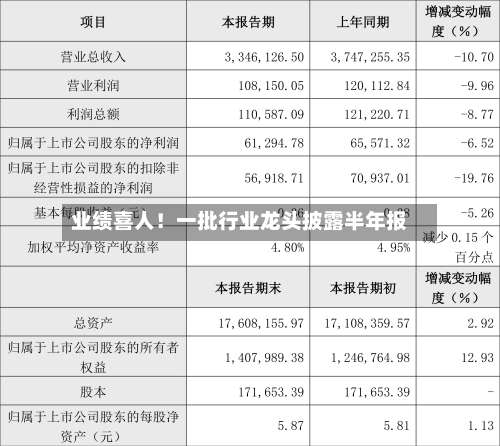 业绩喜人!一批行业龙头披露半年报-第1张图片