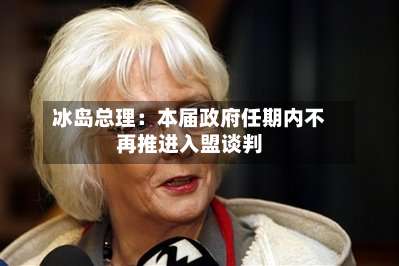 冰岛总理:本届政府任期内不再推进入盟谈判-第3张图片