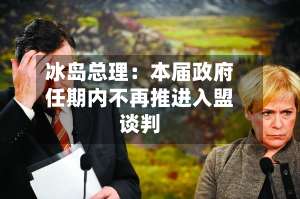 冰岛总理:本届政府任期内不再推进入盟谈判-第2张图片