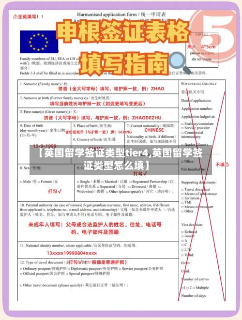 【英国留学签证类型tier4,英国留学签证类型怎么填】