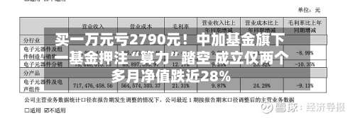 买一万元亏2790元！中加基金旗下 一基金押注“算力	”踏空 成立仅两个多月净值跌近28%-第2张图片