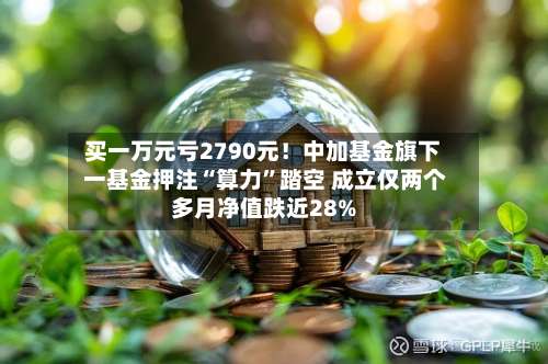 买一万元亏2790元！中加基金旗下 一基金押注“算力”踏空 成立仅两个多月净值跌近28%-第3张图片