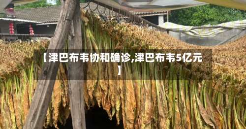 【津巴布韦协和确诊,津巴布韦5亿元】