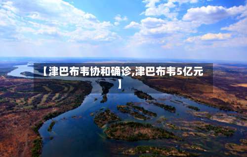 【津巴布韦协和确诊,津巴布韦5亿元】-第2张图片