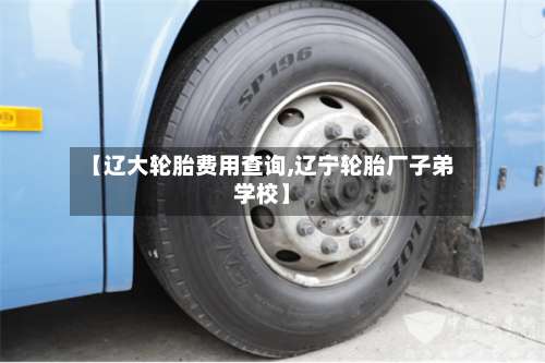 【辽大轮胎费用查询,辽宁轮胎厂子弟学校】-第2张图片