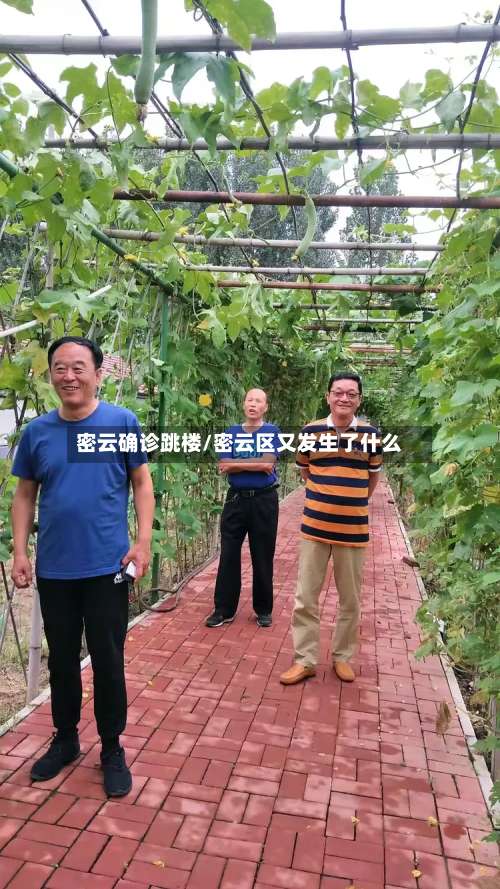 密云确诊跳楼/密云区又发生了什么