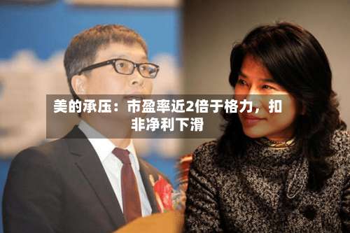 美的承压：市盈率近2倍于格力	，扣非净利下滑-第3张图片
