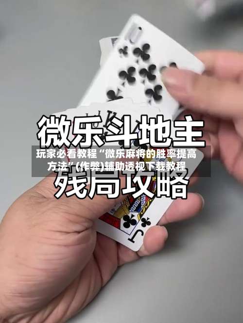 玩家必看教程“微乐麻将的胜率提高方法	”(作弊)辅助透视下载教程-第2张图片