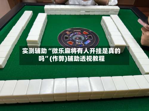 实测辅助“微乐麻将有人开挂是真的吗”(作弊)辅助透视教程-第3张图片