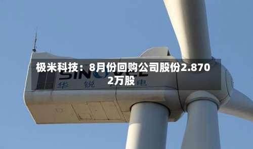 极米科技:8月份回购公司股份2.8702万股-第1张图片