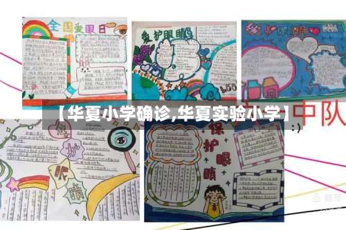 【华夏小学确诊,华夏实验小学】-第2张图片